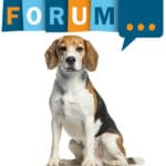 Beagle Forum - Fragen und Antworten zum Beagle